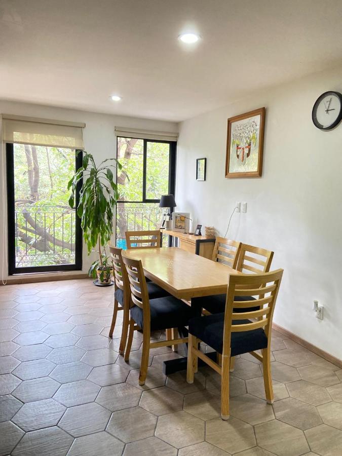 Apartment With Terrace Down Town Mexico City Ngoại thất bức ảnh